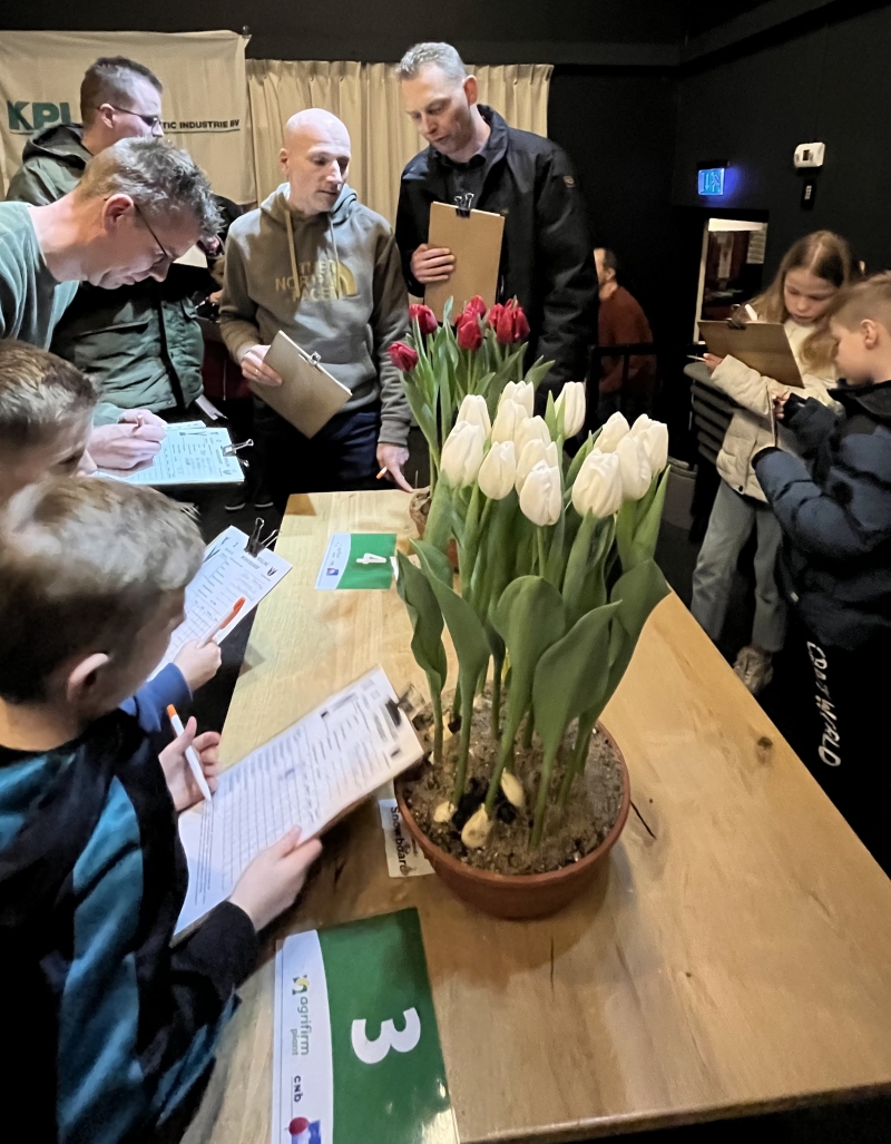 NK-tulpenkeuren-Wervershoof-2e keuring-a